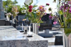 fleurs dans un vase