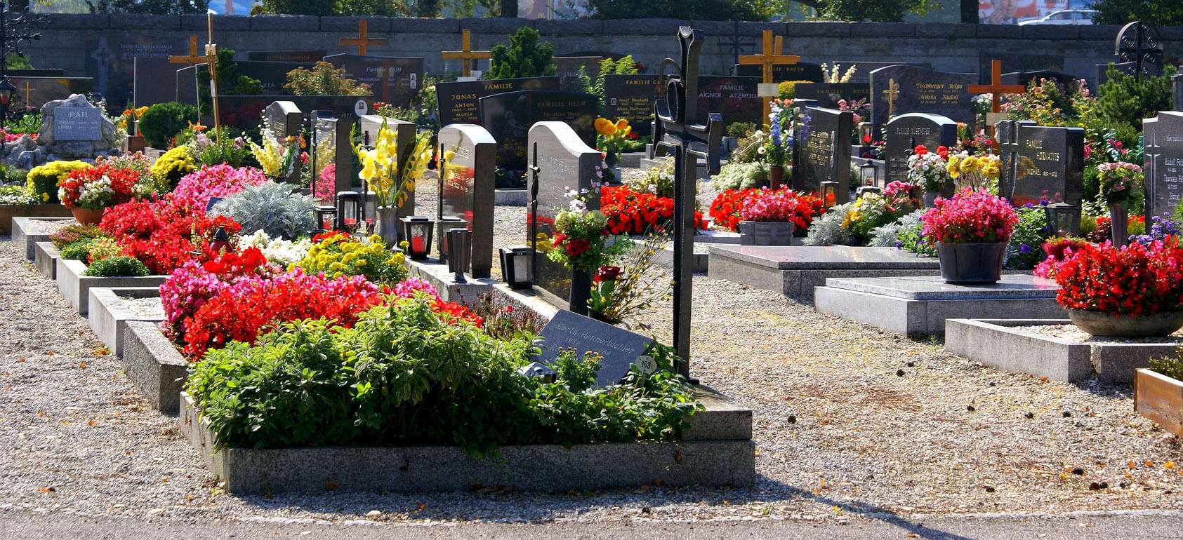 dessus de cimetiere en fleurs